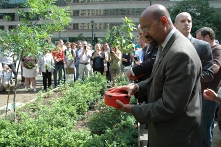 An Urban Garden Oasis Image